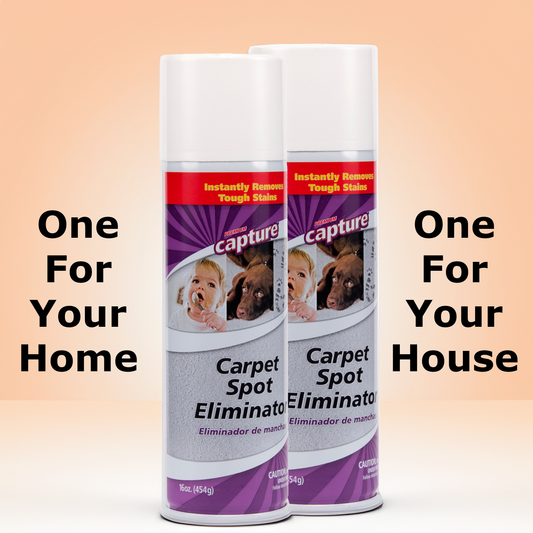 Capture 16 oz. Carpet Spot Eliminator (Pack of 2 Cans)